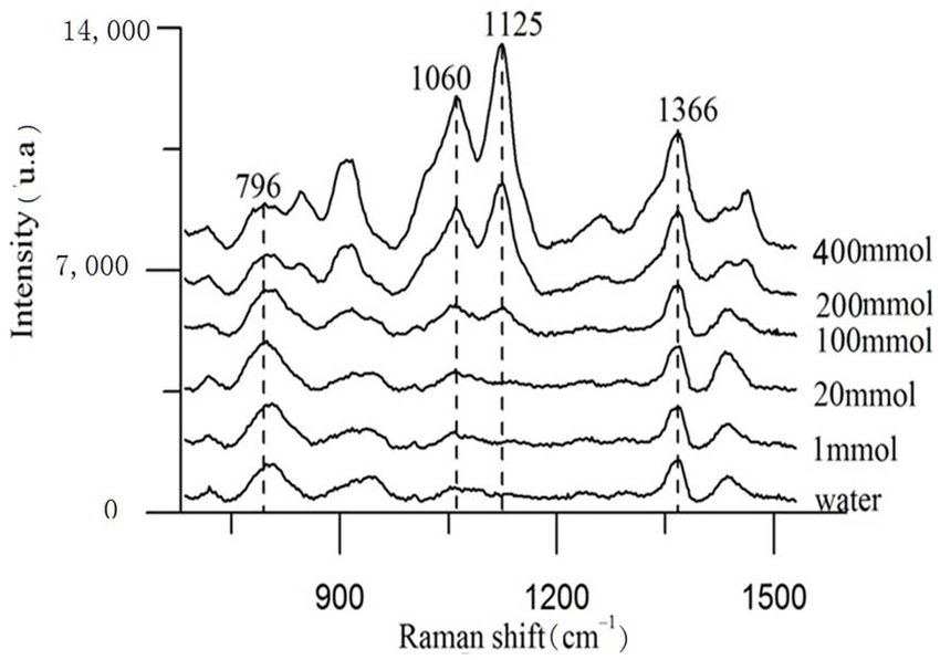 Raman Spectroscopy